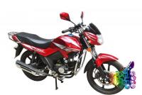 New Arrival Deluxe 100 cc -15